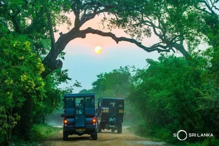 Kottamba Yala Stay & Safari Tissamaharama Zewnętrze zdjęcie