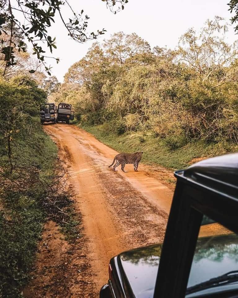 Kottamba Yala Stay & Safari Tissamaharama Zewnętrze zdjęcie